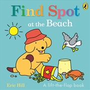 Buy Find Spot at the Beach: A Lift-the-Flap Story