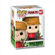 Buy Peanuts - Charlie Brown with Tree (Holiday) Pop! Vinyl