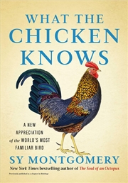 Buy What the Chicken Knows: A New Appreciation of the World's Most Familiar Bird