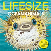 Buy Lifesize Ocean Animals