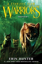 Buy Warriors A Starless Clan #4 - Thunder