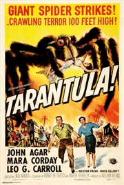 Buy Tarantula Poster