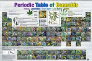 Buy Periodic Table Of Cannabis Poster