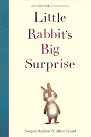 Buy Little Rabbit's Big Surprise