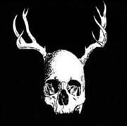 Buy Skull With Antlers