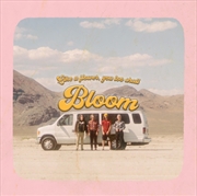 Buy Bloom