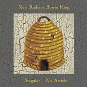 Buy Singular No Article