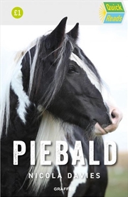 Buy Piebald