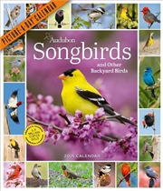 Buy Audubon Songbirds and Other Backyard Birds Picture-A-Day  Wall Calendar 2025