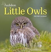 Buy Audubon Little Owls Mini Wall Calendar 2025