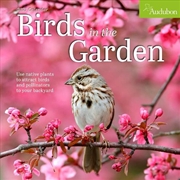 Buy Audubon Birds in the Garden Wall Calendar 2025