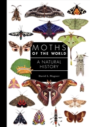 Buy Moths of the World