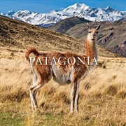 Buy Patagonia National Park: Chile