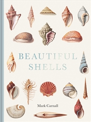 Buy Beautiful Shells