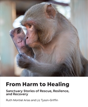 Buy From Harm to Healing