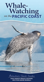 Buy Whale Watching on the Pacific Coast