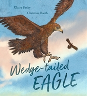 Buy Wedge-tailed Eagle