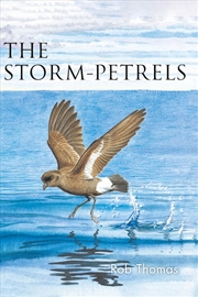 Buy The Storm-petrels