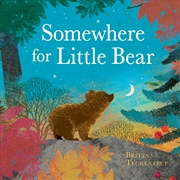 Buy Somewhere for Little Bear