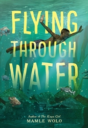 Buy Flying through Water