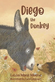 Buy Diego the Donkey