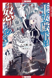 Buy Her Royal Highness Seems to Be Angry, Volume 1 (Light Novel)