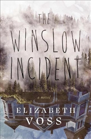 Buy The Winslow Incident