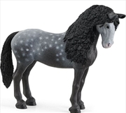 Buy Schleich - Pura Raza Espanola Mare