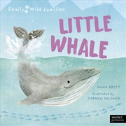 Buy Little Whale