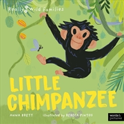 Buy Little Chimpanzee