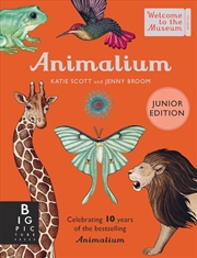 Buy Animalium (Junior Edition)