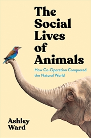 Buy The Social Lives of Animals