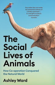 Buy The Social Lives of Animals