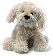 Buy Dog: Karina Labradoodle