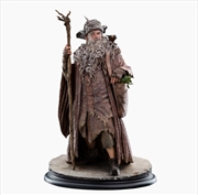 Buy The Hobbit - Radagast Classic Series Statue