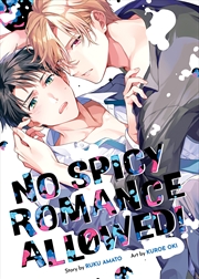 Buy No Spicy Romance Allowed!