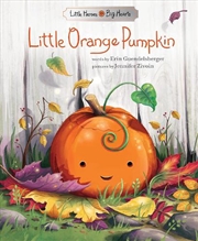 Buy Little Orange Pumpkin