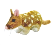 Buy Queenie The Quoll 30cm