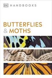 Buy Butterflies and Moths