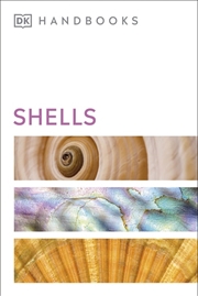 Buy Shells