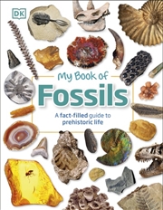 Buy My Book of Fossils