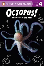 Buy Octopus!