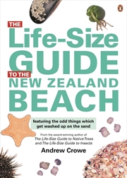 Buy Life-Size Guide to the New Zealand Beach