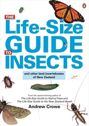 Buy Life-Size Guide to Insects