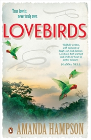 Buy Lovebirds