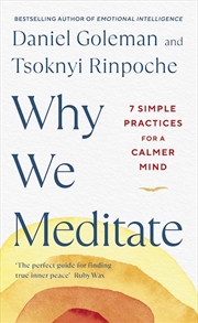 Buy Why We Meditate