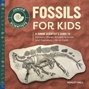 Buy Fossils for Kids