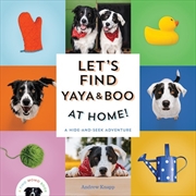 Buy Let's Find Yaya and Boo at Home!