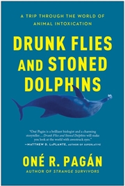 Buy Drunk Flies and Stoned Dolphins