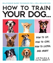 Buy How to Train Your Dog